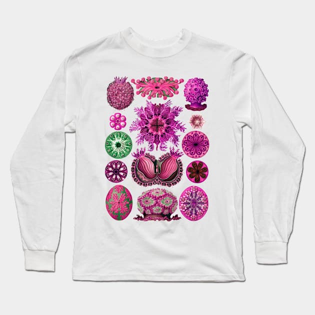 Ernst Haeckel Ascidiae Sea Squirts Magenta Long Sleeve T-Shirt by Scientistudio